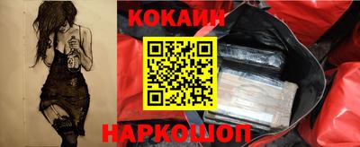 бошки Кингисепп
