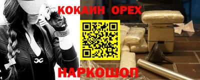бошки Кингисепп