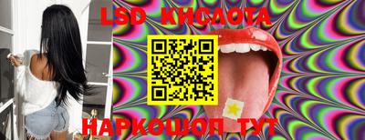 бошки Кингисепп