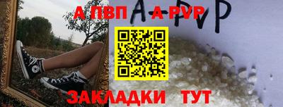 бошки Кингисепп