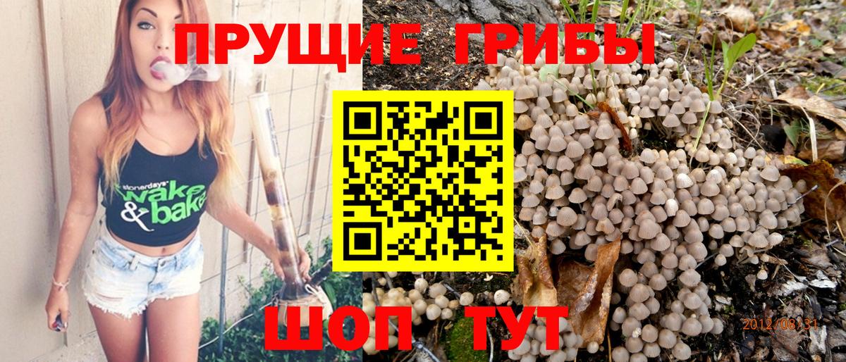 Галлюциногенные грибы мухоморы Ярцево